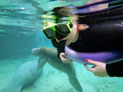 VIP Manatee Swim w/ In-water Photographer