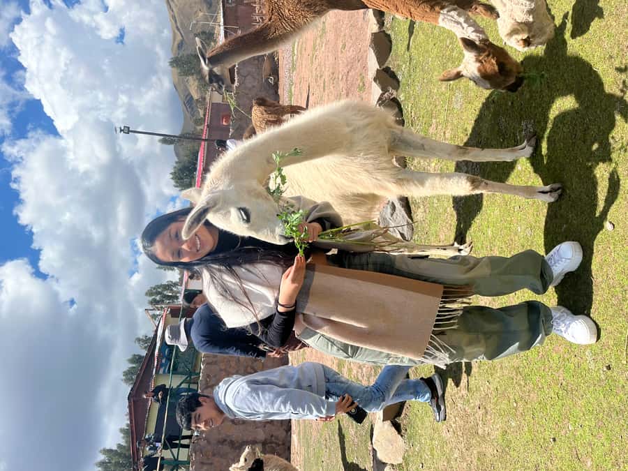 Cusco: Archeological Sites Tour and Forest Photo Experience - Tambomachay and the Inca focus on water