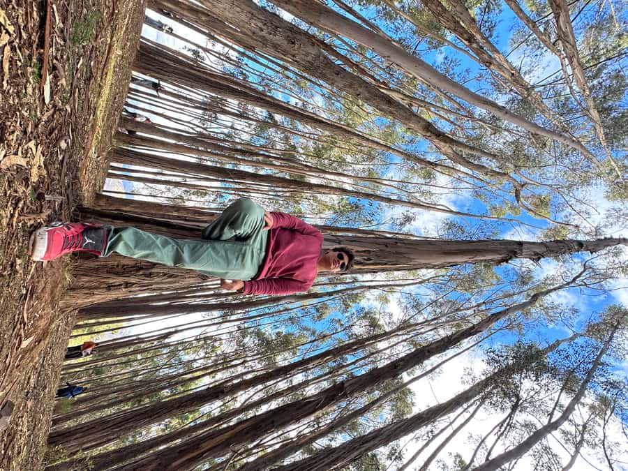 Cusco: Archeological Sites Tour and Forest Photo Experience - What the 17-dollar price really buys you