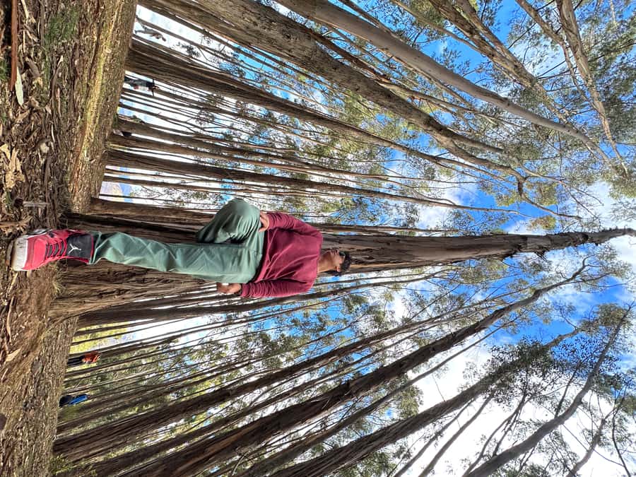 Cusco: Archeological Sites Tour and Forest Photo Experience - Who should choose this Cusco outing