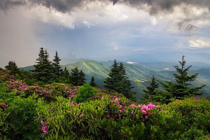 Custom Half-Day Photo Tour with Photography Lessons from Asheville - Weather, flexibility, and the cost of changing plans