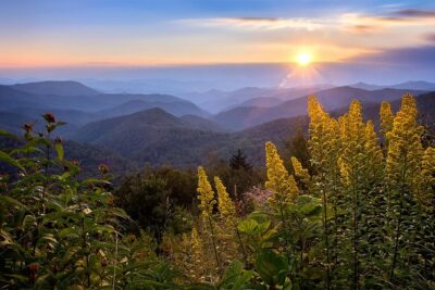 Custom Half-Day Photo Tour with Photography Lessons from Asheville