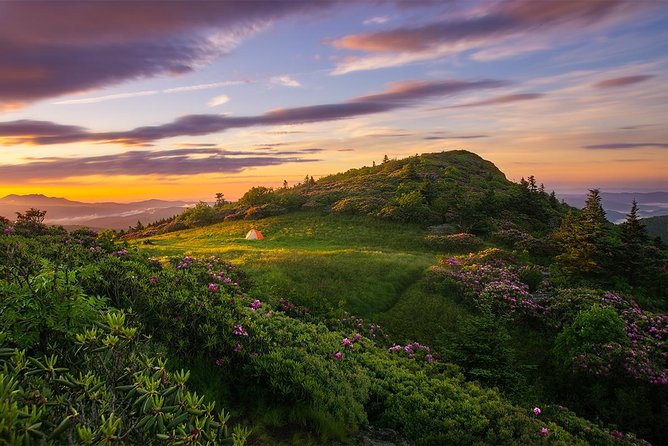 Custom Half-Day Photo Tour with Photography Lessons from Asheville - Pickup makes this easier than arranging your own route