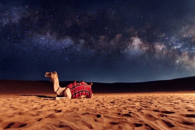 Doha Night Desert Safari, Stargazing, Photography، Relaxation - Sandboarding, camel riding, or a slower hour