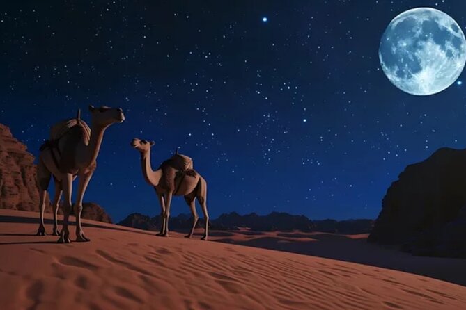 Doha Night Desert Safari, Stargazing, Photography، Relaxation - Who will enjoy this private night safari?
