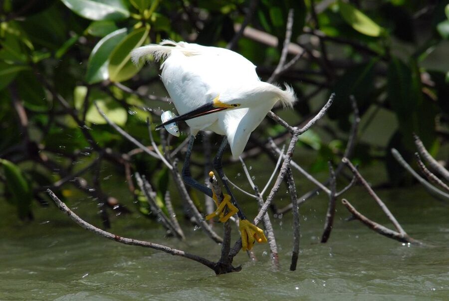Everglades National Park: Private 2.5-Hour Photo Safari - Guide attention and the human side of the trip