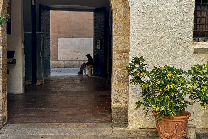 Excellent Private Photography Walking Tour & Workshop in Valencia - The Art of Observation exercise