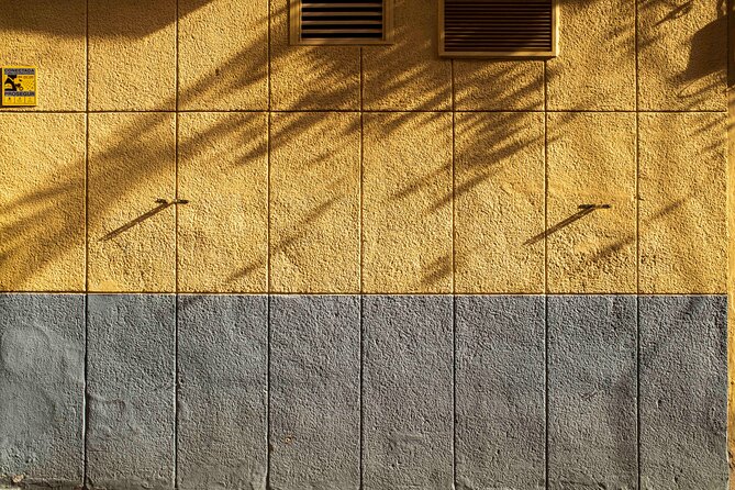 Excellent Private Photography Walking Tour & Workshop in Valencia - Finishing at Cafetería del ETNO