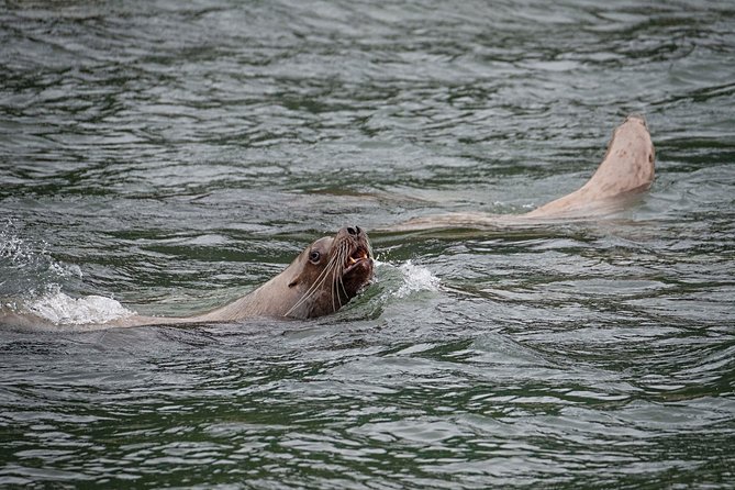 Exclusive Photography Tour to Haines - Skagway Departure - What $356 includes, and where the value lies