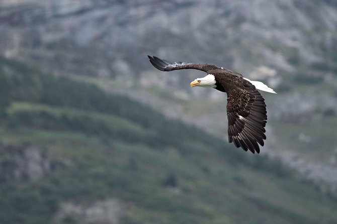 Exclusive Photography Tour to Haines - Skagway Departure - Who will enjoy this Haines photography tour