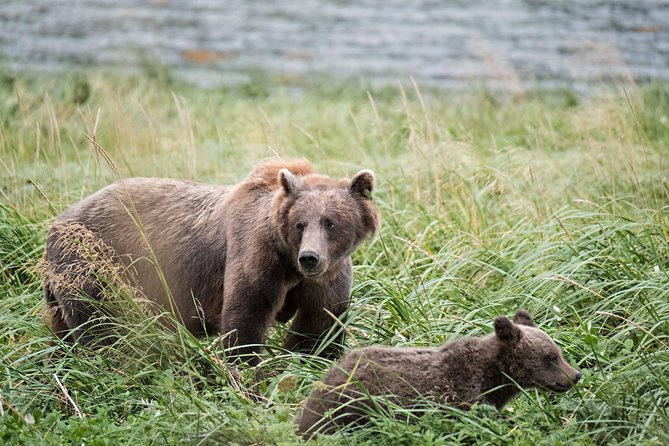 Exclusive Photography Tour to Haines - Skagway Departure - FAQ