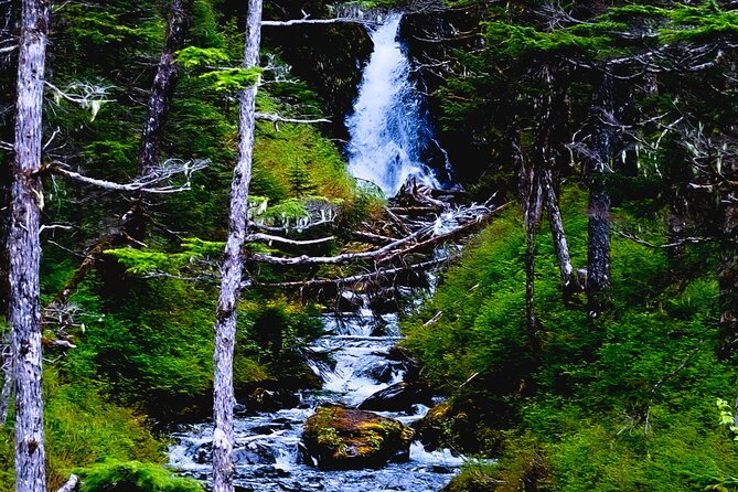 Exquisite Wildlife & Wilderness Photo Tour Anchorage -Whittier - Beluga Point and the Turnagain Arm
