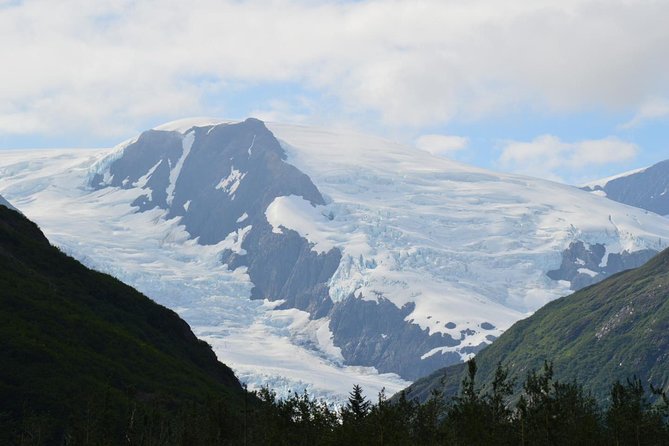 Exquisite Wildlife & Wilderness Photo Tour Anchorage -Whittier - Wildlife at the Alaska Wildlife Conservation Center