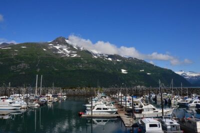 Exquisite Wildlife & Wilderness Photo Tour Anchorage -Whittier