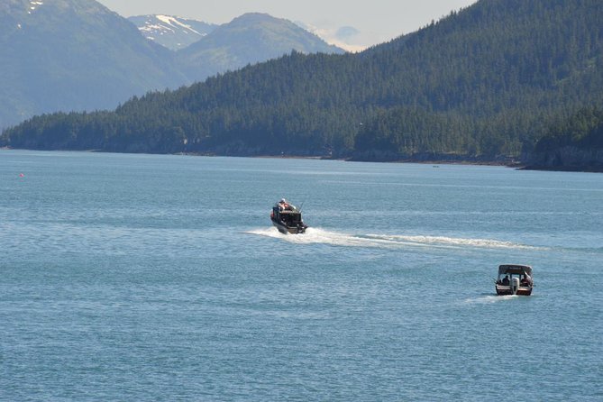 Exquisite Wildlife & Wilderness Photo Tour Anchorage -Whittier - Waterfalls and the approach to Whittier