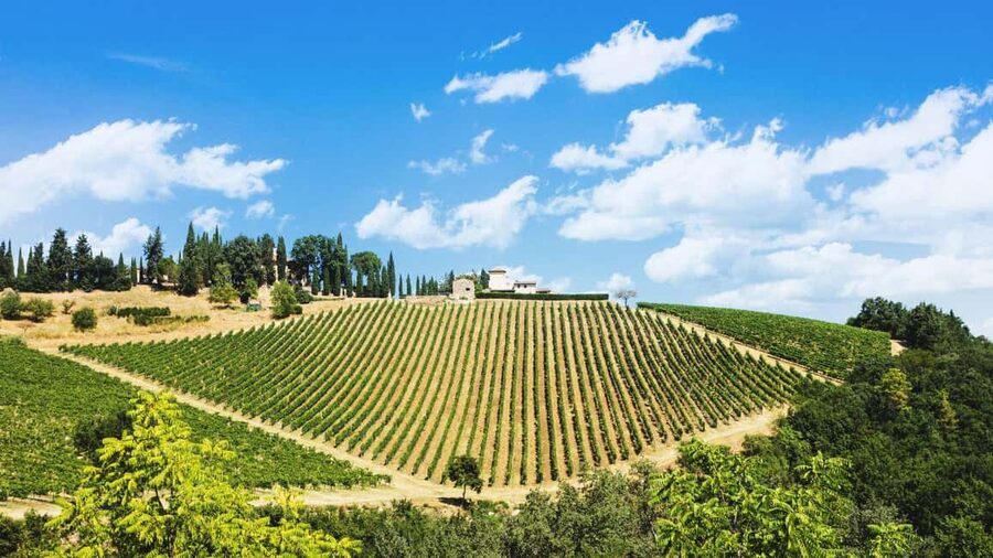 Florence Countryside 2.5h Premium E-Bike Tour + Photo Shoot - Starting near Ponte Vecchio