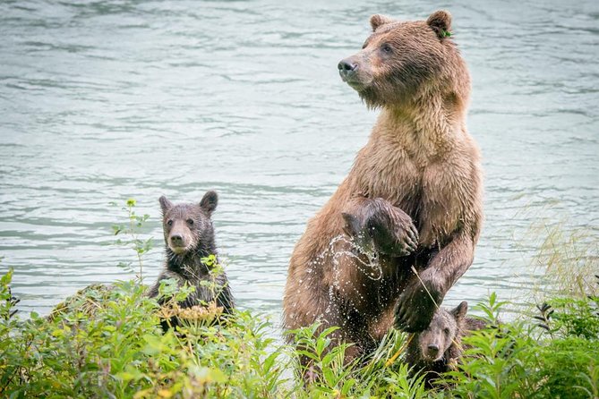 Focus on Haines Private Nature / Photography tour - Chilkoot State Park, Chilkoot River, and Chilkoot Lake