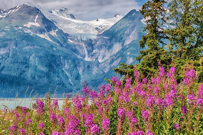 Focus on Haines Private Nature / Photography tour - How much value do you get for $600?