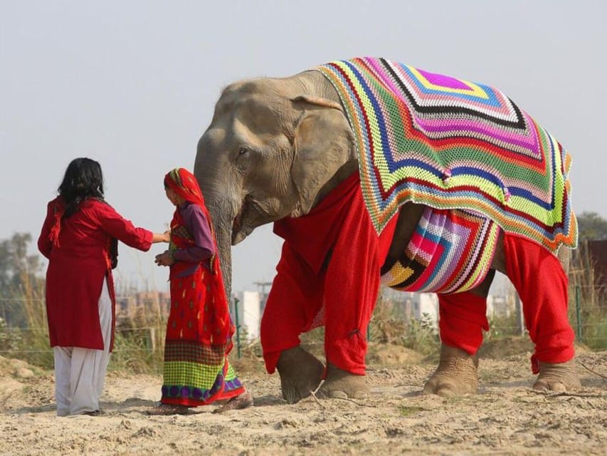 From Delhi: Taj Mahal with Photographer & Elephant SOS Tour - Key points at a glance