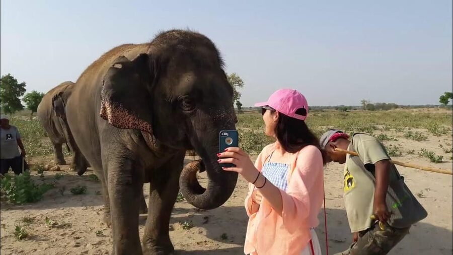 From Delhi: Taj Mahal with Photographer & Elephant SOS Tour - Timing, comfort, and small practical concerns