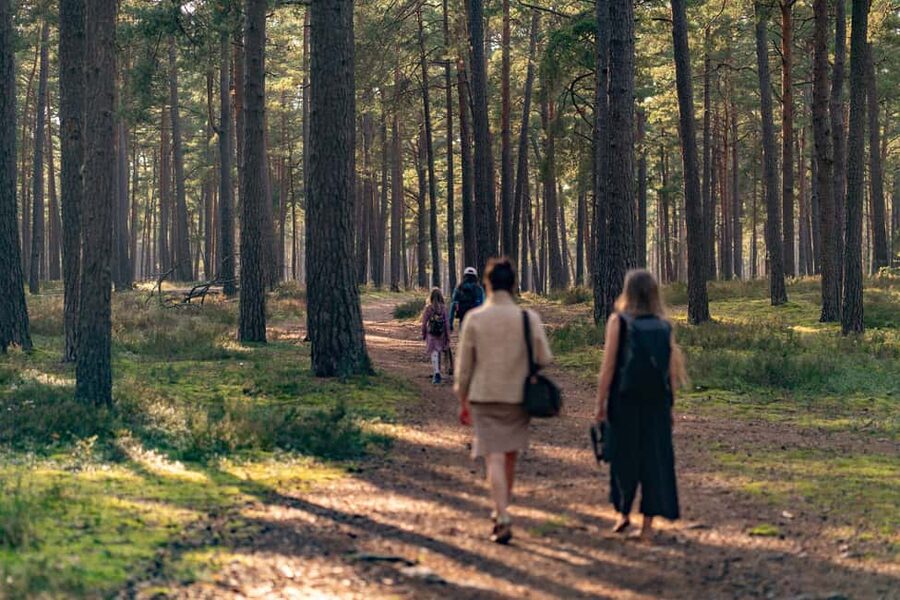 From Riga: Explore Latvian Nature With a Local Photographer - Key Points at a Glance
