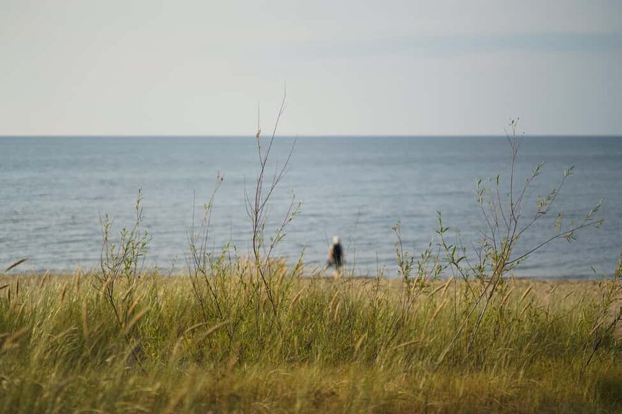 From Riga: Explore Latvian Nature With a Local Photographer - Why This Riga Escape Feels Different