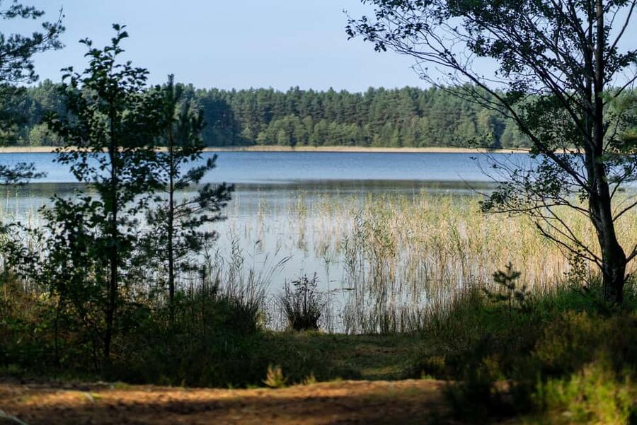 From Riga: Explore Latvian Nature With a Local Photographer - Walking, Breaks, and the Long-Day Option