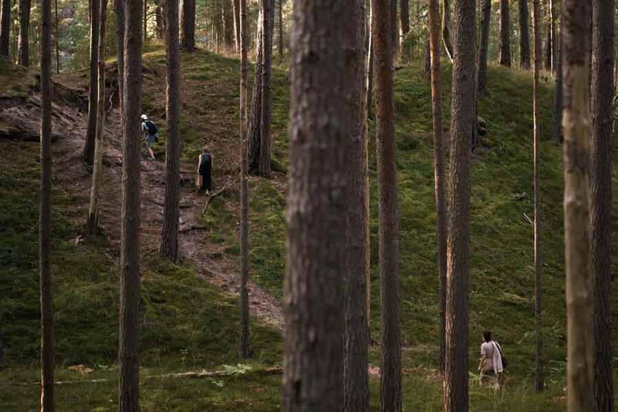 From Riga: Explore Latvian Nature With a Local Photographer - Practical Tips for a Better Day