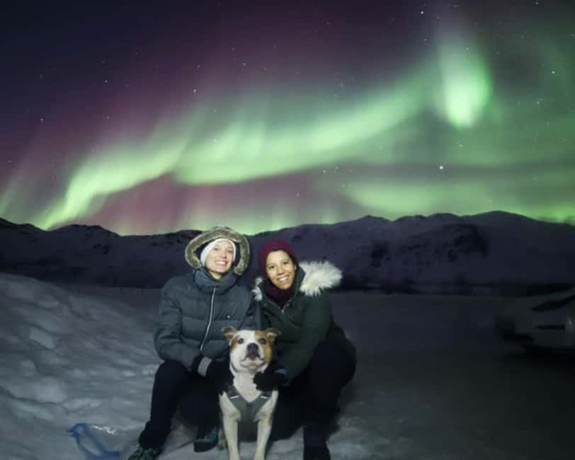 From Tromso: Northern Lights Photography Tour - Key points to know before booking