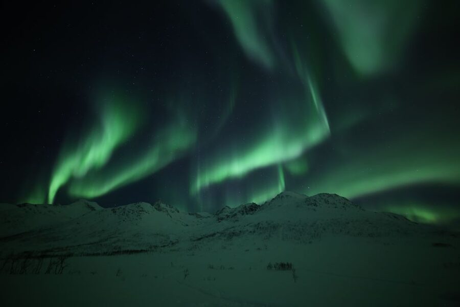From Tromso: Northern Lights Photography Tour - Campfire, hot chocolate, and the waiting game