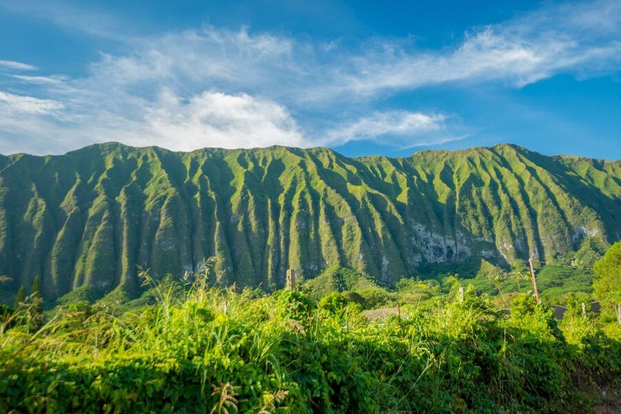 From Waikiki: Best of Oahu Photo Tour with Pickup - A secret stop and Tantalus Lookout