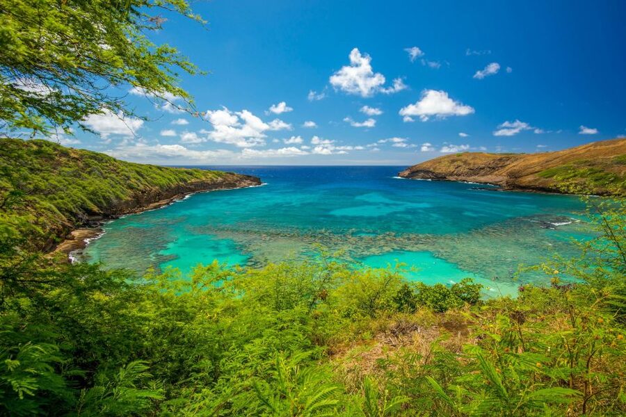 From Waikiki: Best of Oahu Photo Tour with Pickup - Lunch at Ono Steak and Shrimp Shack