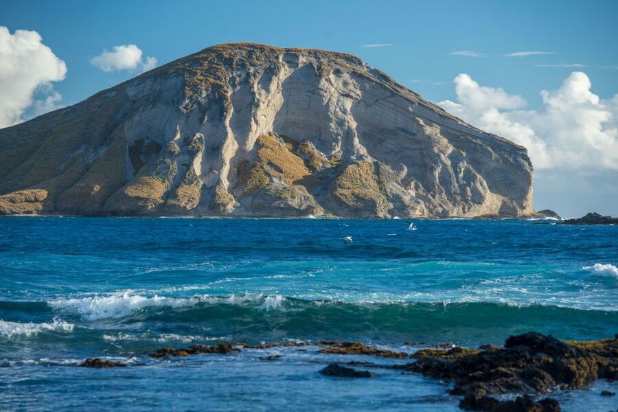 From Waikiki: Best of Oahu Photo Tour with Pickup - Makapuʻu Point and the east coast