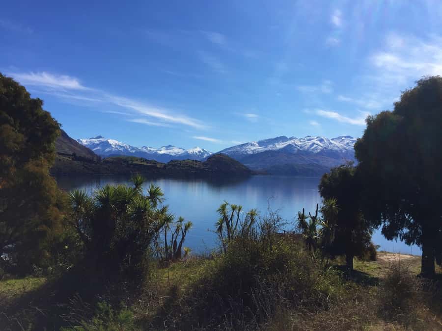 From Wanaka: Ruby Island 1-Hour Cruise and Photo Walk - A Small Island With a Big View