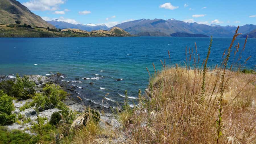 From Wanaka: Ruby Island 1-Hour Cruise and Photo Walk - The Cruise Across Lake Wanaka