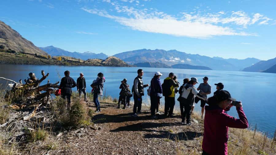 From Wanaka: Ruby Island 1-Hour Cruise and Photo Walk - Photo Stops Worth Taking