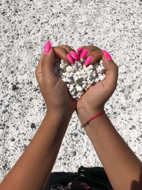 Fuerteventura: Top 5 Instagram Spots Full-Day Tour & Tapas - Key points to know before you book