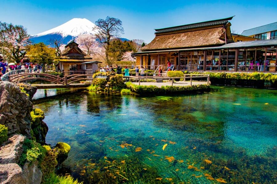 Fuji/Hakone Private Tour, English speaking guide, Photograph - Key points at a glance