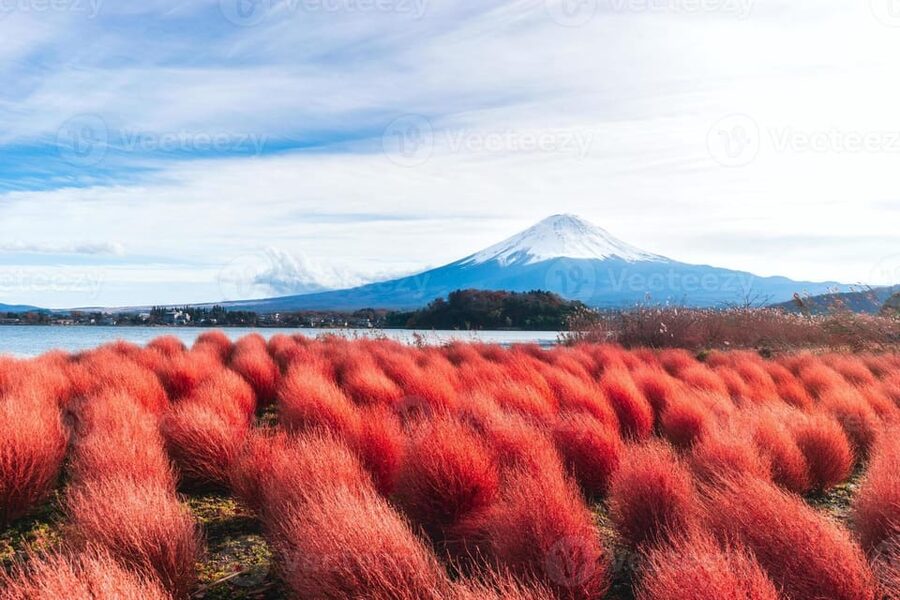 Fuji/Hakone Private Tour, English speaking guide, Photograph - Why a private Mount Fuji day makes sense