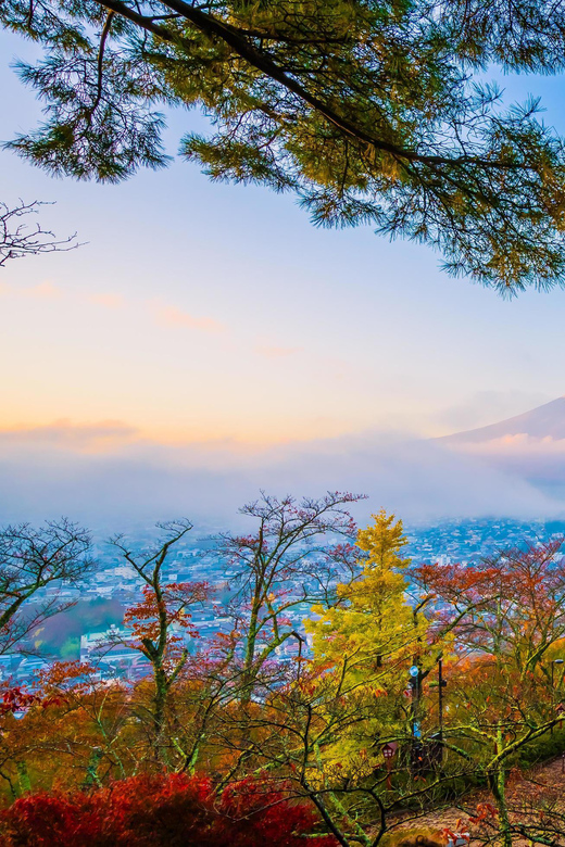 Fuji/Hakone Private Tour, English speaking guide, Photograph - Mount Fuji 5th Station and Chureito Pagoda