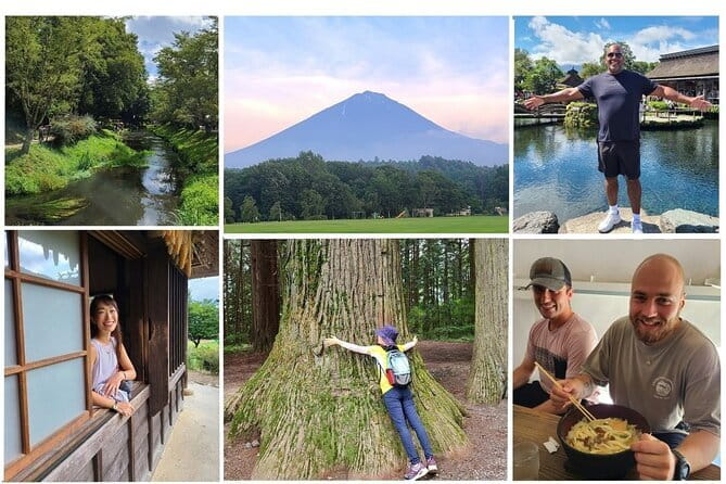 Fuji Photo Tour - Aokigahara Forest changes the mood