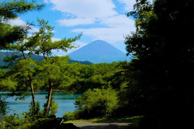 Fuji Photo Tour - Chureito Pagoda brings the classic Fuji view