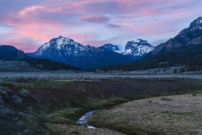 Full Day Guided Wildlife Photography Tour In Yellowstone - Key points to know before booking