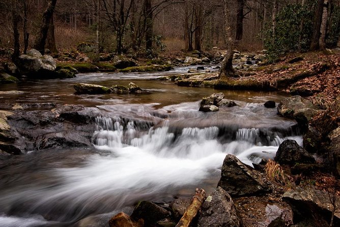 Full-Day Tour With Instruction in Vistas & Waterfall Photography - The early start and the return to Mills River