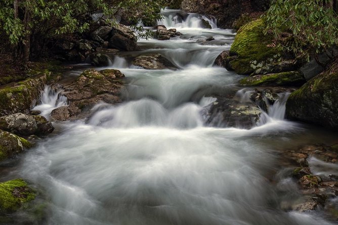 Full-Day Tour With Instruction in Vistas & Waterfall Photography - Waterfalls, vistas, and forests require different choices