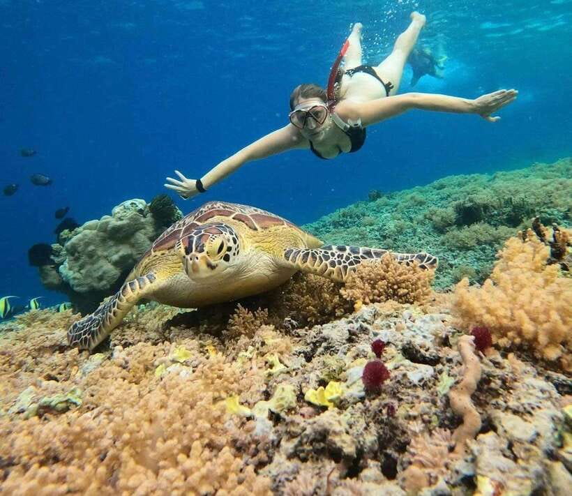 Gili Air: Private Snorkeling in 4 Spots with GoPro Camera - Blue Coral starts the morning with reef life