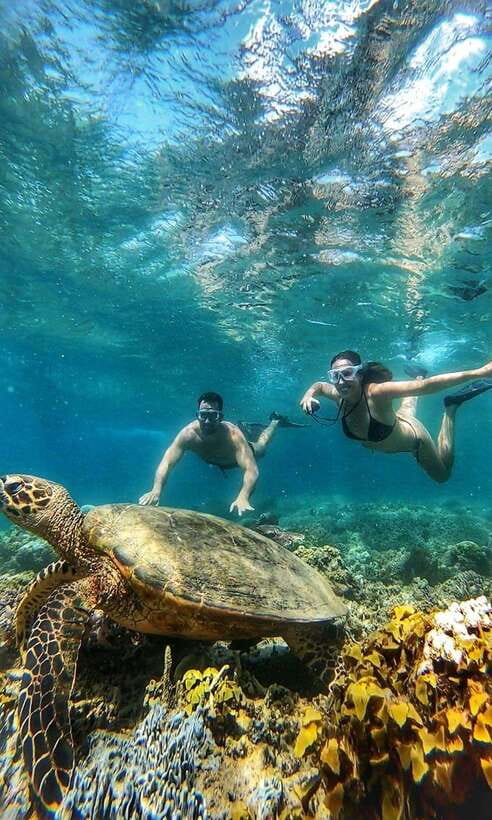 Gili Air: Private Snorkeling in 4 Spots with GoPro Camera - What to bring for a smoother morning