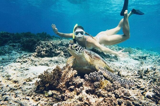 Gili Air: Snorkeling 3 Gili Islands with GoPro Camera - Four Gili sights from one short boat trip