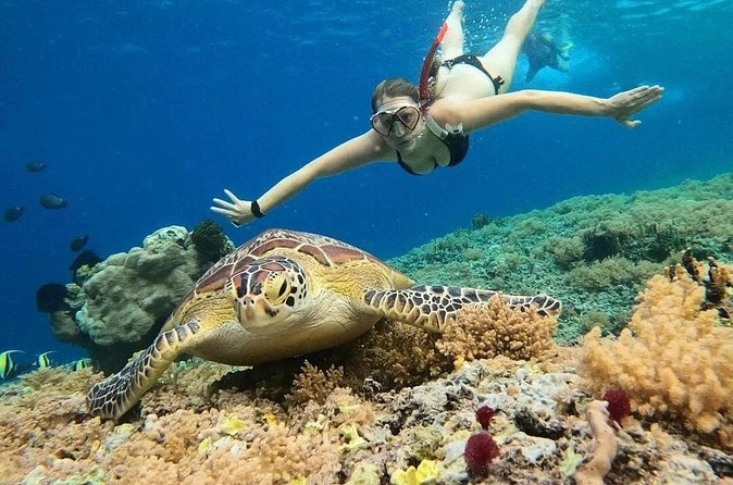 Gili Air: Snorkeling 3 Gili Islands with GoPro Camera - Fish Garden and the final swim