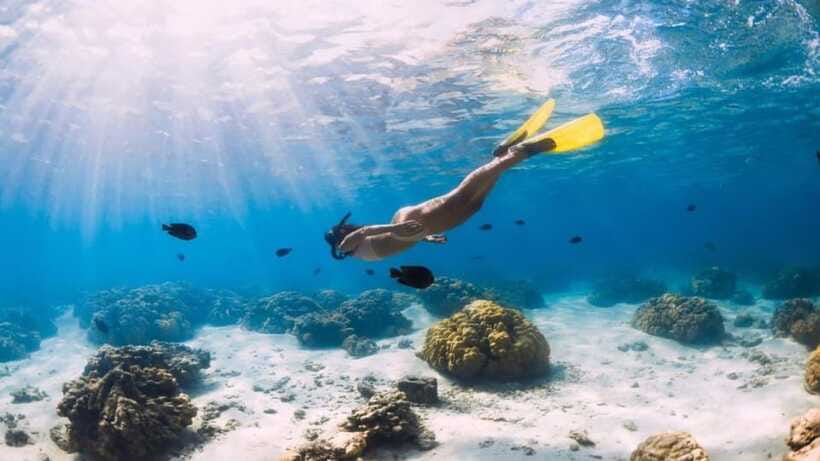 Gili Trawangan: Private Snorkeling 4 Spot with Gopro Camera - Is $38 a fair price?